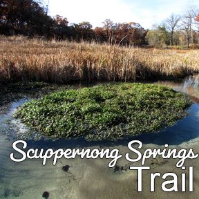 Scuppernong Springs Trail